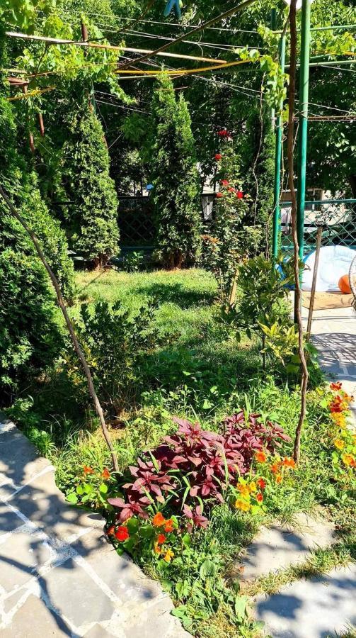 Guest House Casa Borjomi Exterior foto